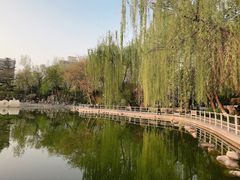 -莲湖公园