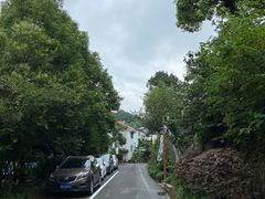 -西湖风景区十里琅珰-五云山