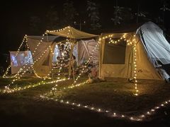 -武陵山森林公园