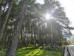 -硗碛藏寨·神木垒景区