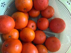 -百果园(芳华路店)