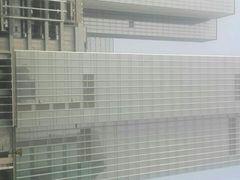 -重庆市江北嘴中央商务区中央公园