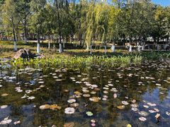 -映月湖公园