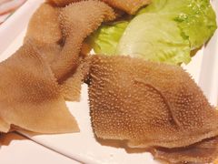 -川西坝子(老军营店)