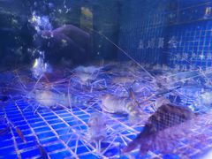 -青蓬蒸汽海鲜·深圳老字号·团建聚会(壹方城店)