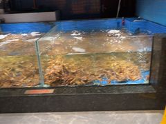 -东海怡品海鲜豆捞(星街坊店)