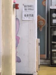 -前小桔亲子创意农场·草莓采摘·露营烧烤