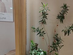 -修申骨雕小颜脊柱骨盆管理产后修复