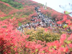 -大围山国家森林公园