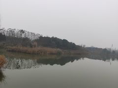 -白鹭湾湿地公园