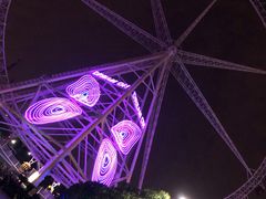 -锦江乐园舞狸花花游园会(夜场专享)