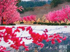 -石岛赤山风景区