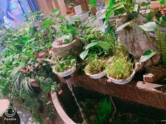 -兰木肆·云南菜(龙湖U城天街店)