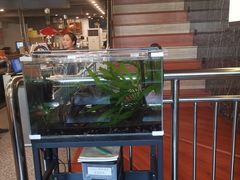 -故村土城韩国烤肉(圆沙店)
