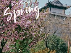 -西安城墙·碑林历史文化景区