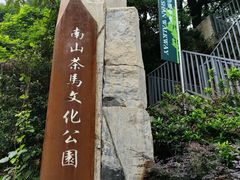 -南山植物园