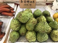 -西双版纳傣族园