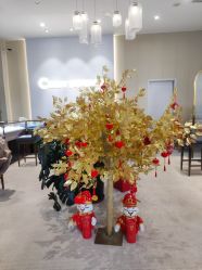 -Cindy Jewelry·钻戒·彩色宝石