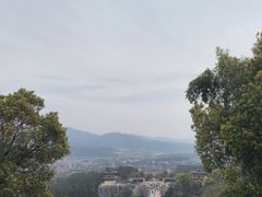 -庐山风景名胜区-东林大佛
