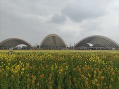 -中国天府农业博览园