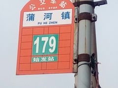 -蒲河大集