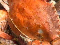 -晓伟海鲜家常菜