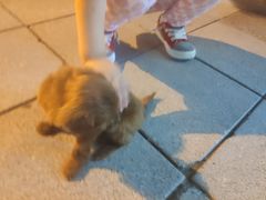-上海颛桥万达广场
