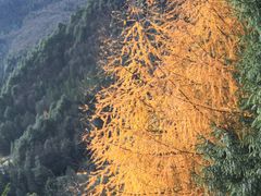 -硗碛藏寨·神木垒景区