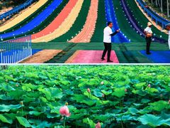 -渔岛海洋度假区