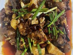 -阿兰白家宴