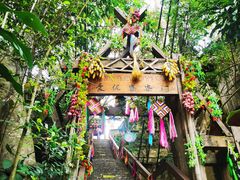 -西双版纳原始森林公园