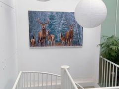 -DK45丹麦家居生活馆·依诺维绅(798店)