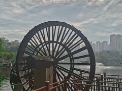 -重庆彩云湖湿地公园
