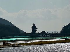 -腾冲北海湿地