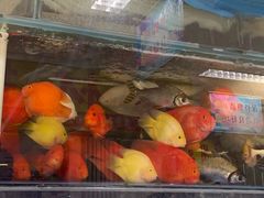 -三旗百汇商品城