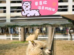 -盈香心动乐园