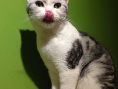 -川里谈·川味小馆(北京路店)