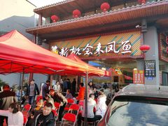 -新概念来凤鱼(璧山店)