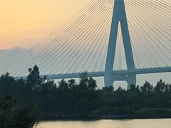 -芒洲湿地公园