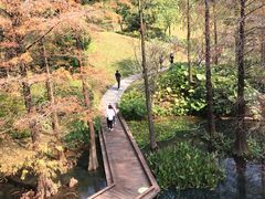 -云溪植物园