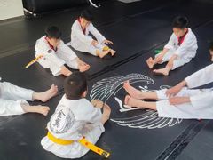 -金翼跆拳道巴西柔术拳击格斗学院