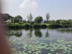 -新江湾城公园