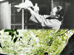 -上海宋庆龄故居纪念馆