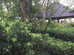 -威海天沐度假区温泉