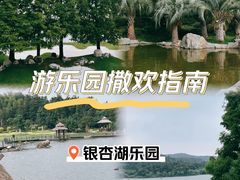 -南京银杏湖乐园