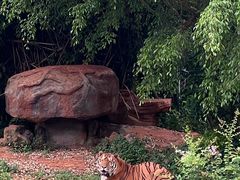 -海南热带野生动植物园