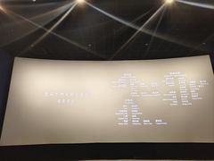 -汉阳天河电影城(王家湾店)