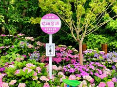 -上海滨江森林公园