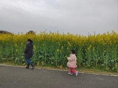 -中国天府农业博览园