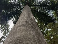 -飞霞风景名胜区